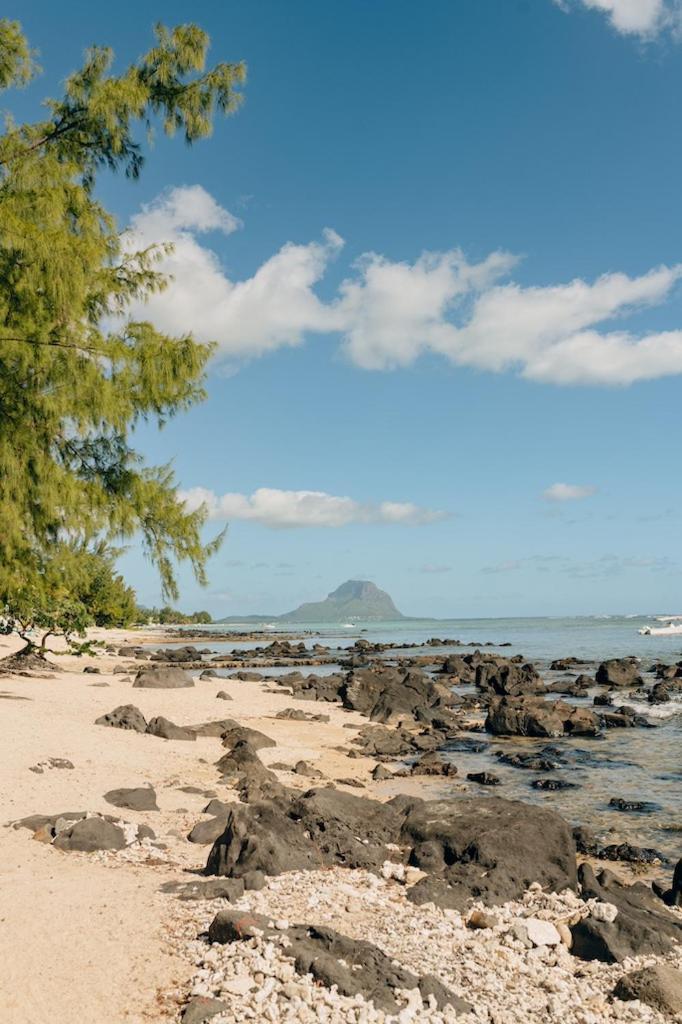 Beach And Mountain - Tamarin Dış mekan fotoğraf